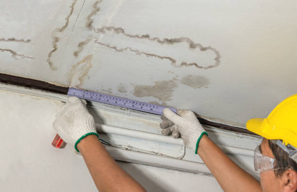 Reliable Water Damage Repair contractor in Holland, MA by Aqua Guard Water Damage